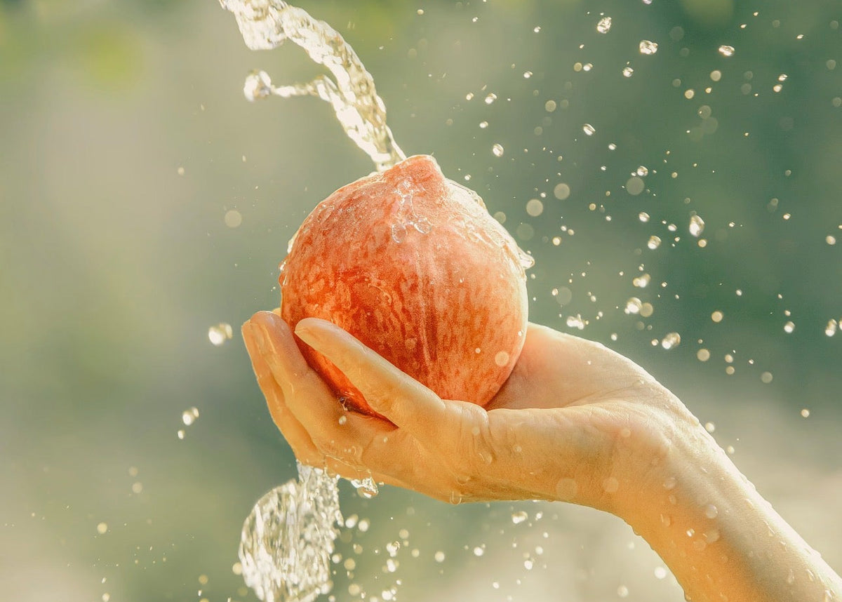 CLOSER TO WHERE IT GROWS BEST