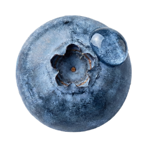 Blueberry