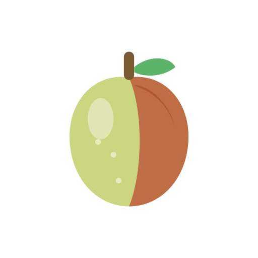 Winter Jujube